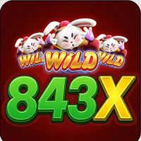843xorg