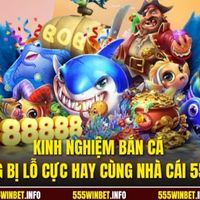 site555winbetinfo