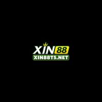 xin88t5net