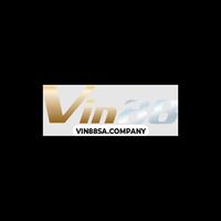 vin88sacompany