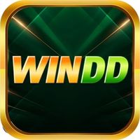 winddcasino