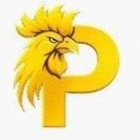 paitosdyio