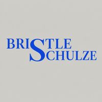 bristlelaw1