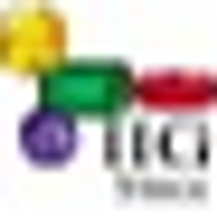 indianinstituteofgemology