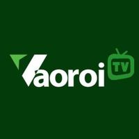 vaoroitvlogi