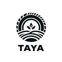 tayareifenentsorgung