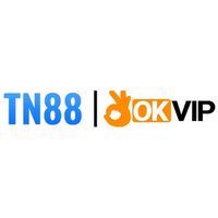 tn888net