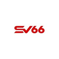 sv66bettodayy