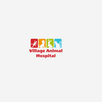 Villageanimalhospital
