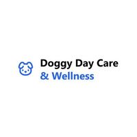 mdpetcare