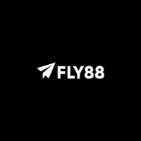 fly888tech