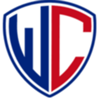 wholeclear-excel-to-vcf