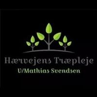 Haervejens Traepleje