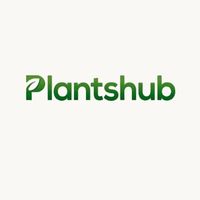 Orchid Valley Nursery