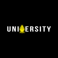 trapuniversityonline