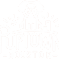 puptownhoustondogtraining