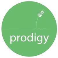 Prodiggy Foods