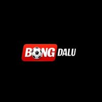 bongdalusolar1
